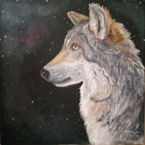 Portrét vlka