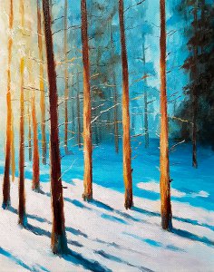 Slunce v zimním lese