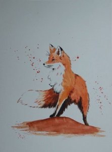 Vznešená liška
