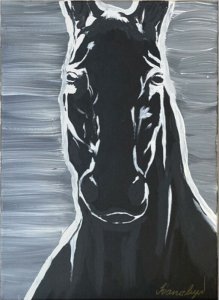Fekete ló