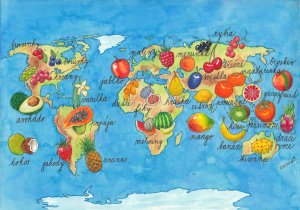Weltkarte der Früchte