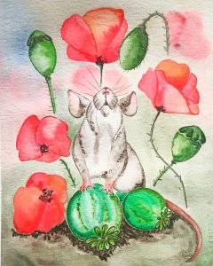 Mouse in the poppy