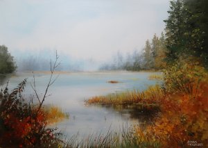 Šumava - Mlha u jezera Laka