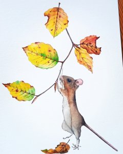 A mouse after the beech tree