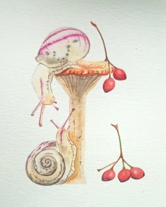 Snails in the forest