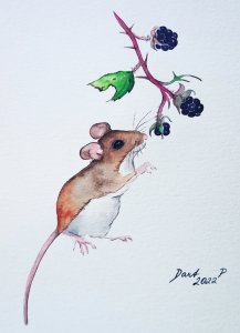 Mouse under the blackberry