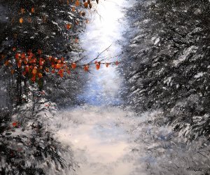 Vánoční dárek - Šumava - První sníh