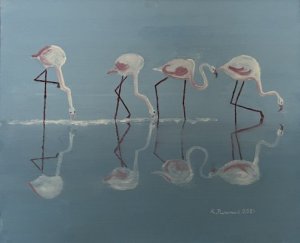 Reflexão sobre os flamingos