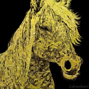 Zlatý kôň