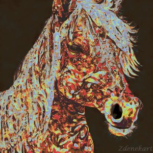 Cavallo rosso 2