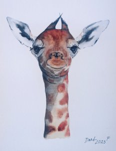 Žirafka