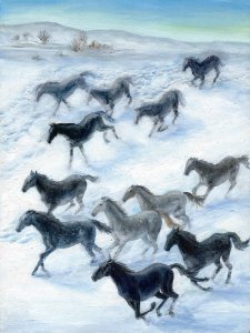 koně a sníh