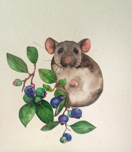 Mouse in blueberry