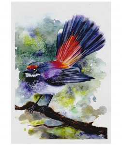Akvarelový vták
