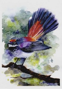 Oiseau aquarelle