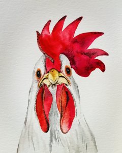Retrato de un gallo