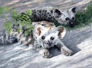 hienas a apanhar sol