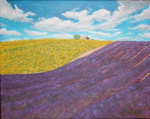 Slunečnicové a levandulové pole v Provence