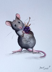 Rat with blackberry