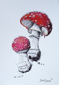 Red toadstools