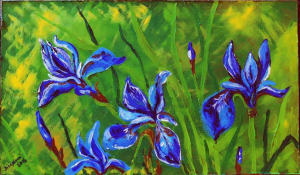 Iris azules