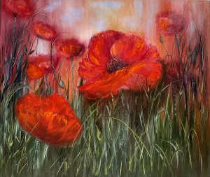 Tenderness and originality - red poppy