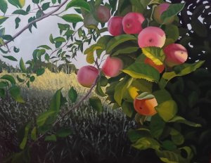 Manzanas nº 1