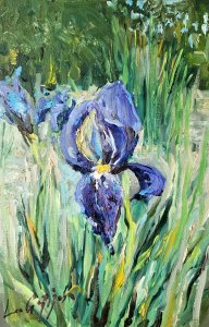 "Iris květina".