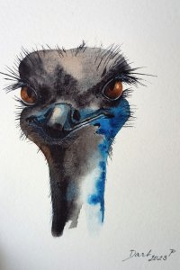 Retrato de uma avestruz