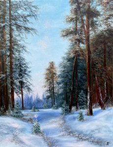 Caminho florestal de inverno