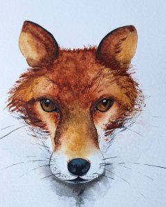 Porträt eines Fuchses