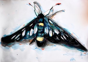 Le papillon de nuit