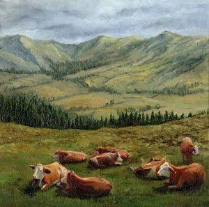 Krowy odpoczywające w górach