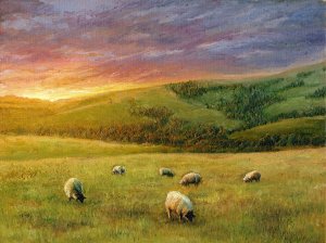 Heimische Landschaft - Schafe am frühen Morgen