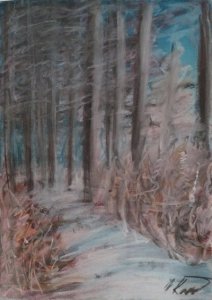 Procházka zimním lesem