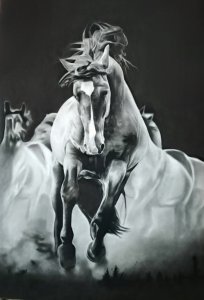 Caballos