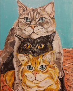 3 Kočky