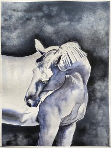Weißes Pferd