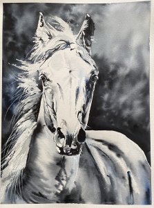 Weißes Pferd.