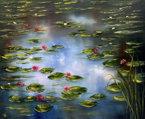 Water lilies on Mirror Lake