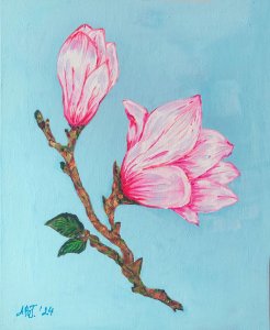 Rama de magnolia en flor