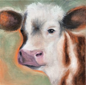Retrato de uma vaca