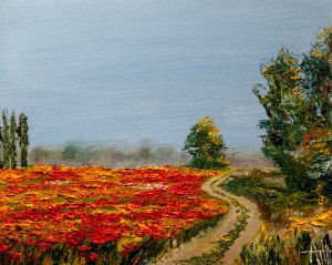 Feld mit roten Blumen
