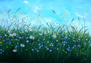 Blooming meadow