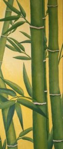 Bambus-Hain