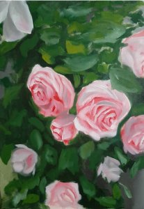 Rosas cor-de-rosa