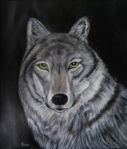 Les yeux du loup