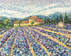 Provence. Lavendelfeld #3