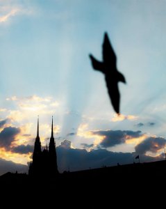 Coucher de soleil à Brno