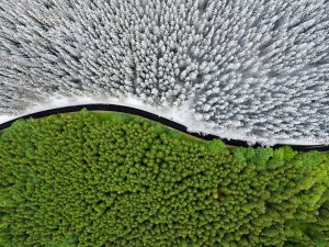 Voyage entre les saisons